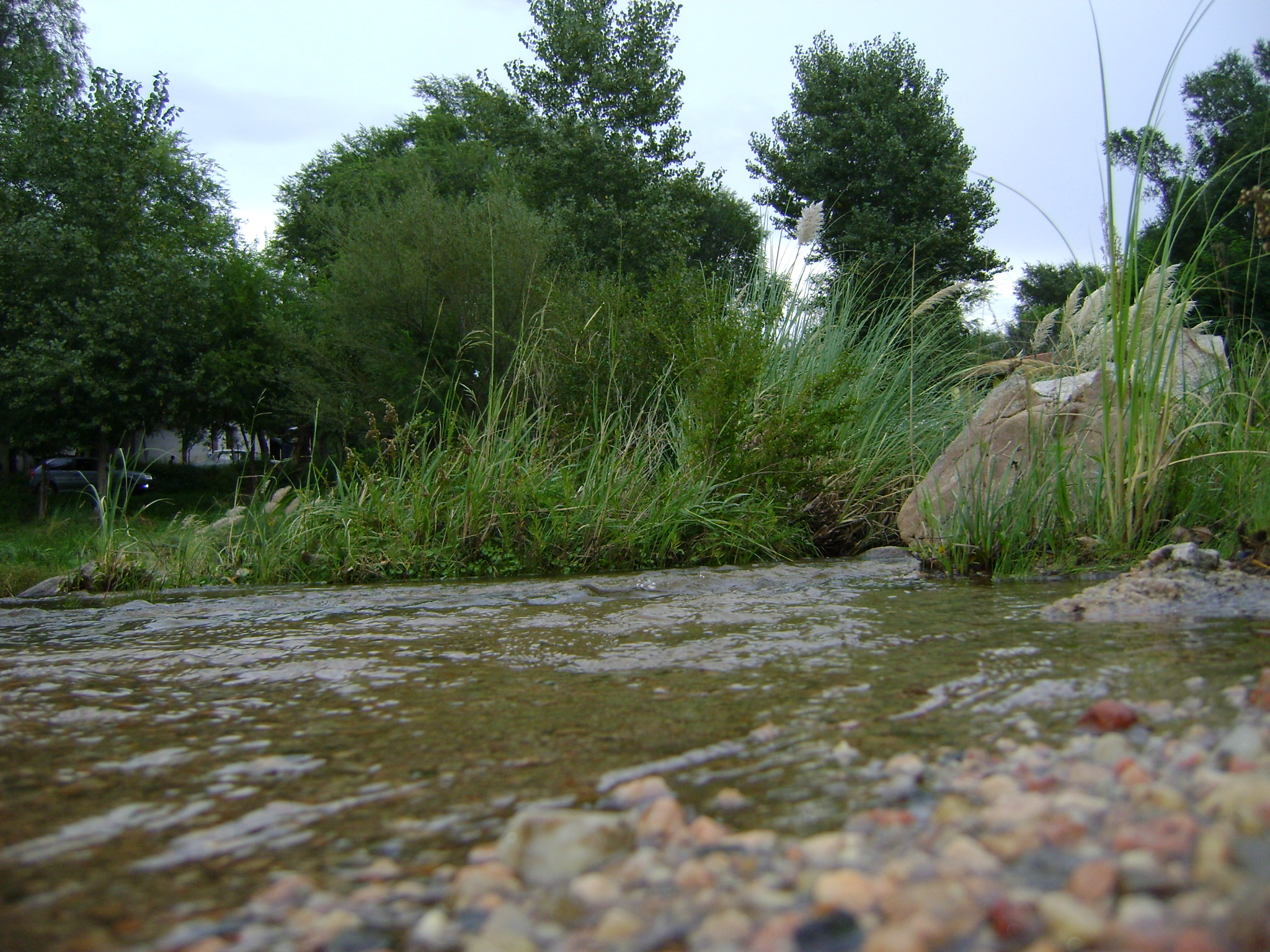 fotos/2011 - Los Reartes/DSC03478.JPG